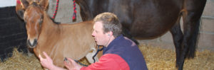 Eden Veterinary-Diet weight Management