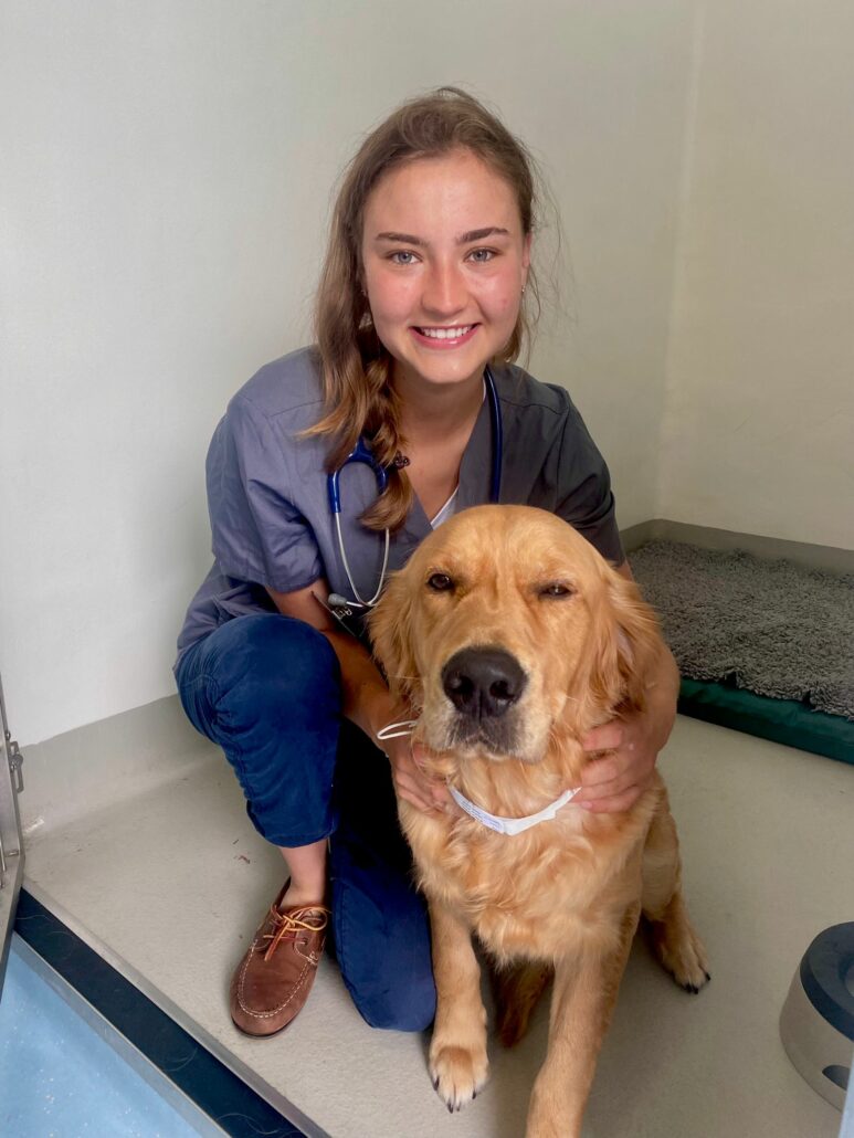 Sophie small Eden Veterinary Practice, Cupar, Fife